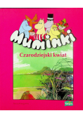Czarodziejski kwiat