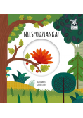 Niespodzianka Magiczne koło Kapitan Nauka