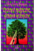 Drzewa magiczne drzewa lecznicze