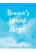 Heaven's Newest Angel Letters To My Baby