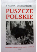Puszcze polskie