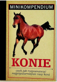 Konie czyli jak rozpoznać najpopularniejsze rasy koni