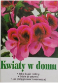 Kwiaty w domu