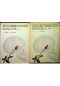 Endokrynologia kliniczna 2 tomy