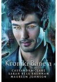 Kroniki Banea