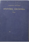 Anatomia Człowieka Tom V
