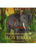 Słoń Birara