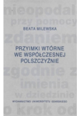 Przyimki Wtórne We Współczesnej Polszczyźnie