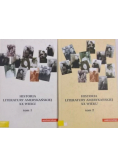 Historia literatury amerykańskiej XX wieku Tom 1 i 2