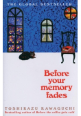 Before Your Memory Fades