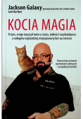 Kocia magia