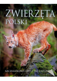 Zwierzęta Polski
