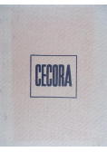 Cecora