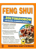 Feng shui dla żółtodziobów