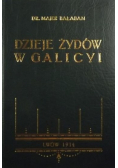 Dzieje Żydów w Galicyi Reprint z 1914 roku