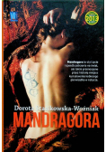 Mandragora