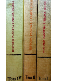 Historia państwa i prawa Polski 3 tomy