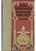 Dzienniki 1909 1917