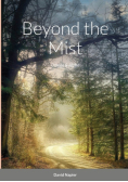 Beyond the Mist