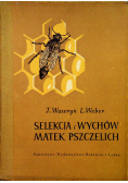 Selekcja i wychów matek  pszczelich