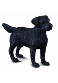 Pies labrador