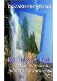 Rozhukany koń