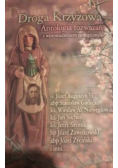 Droga Krzyżowa Antologia rozważań z wprowadzeniem teologicznym