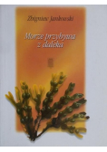 Morze przybywa z daleka