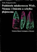 Prahistoria międzyrzecza Wisły Niemna i Dniestru u schyłku plejstocenu