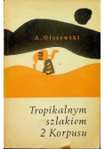 Tropikalnym szlakiem 2 Korpusy