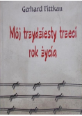 Mój trzydziesty trzeci rok życia