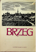 Brzeg