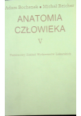 Anatomia człowieka tom V
