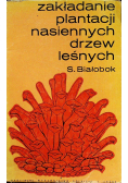 Zakładanie plantacji nasiennych drzew leśnych