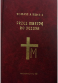 Pasja. Przez Maryję do Jezusa