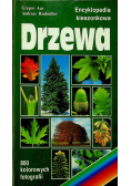 Encyklopedia kieszonkowa Drzewa