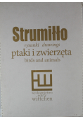 Strumiłło rysunki drawings ptaki i zwierzęta