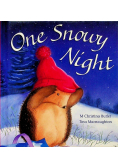 One snowy night