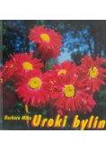 Uroki bylin
