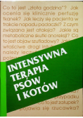 Intensywna terapia psów i kotów