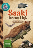Młody Obserwator Przyrody - Ssaki lasów i łąk