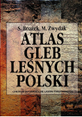 Atlas gleb leśnych Polski