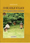 Co się dzieje w ulach