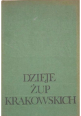 Dzieje żup krakowskich