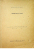 Gwary wielkopolskie