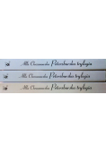 Petersburska trylogia 3 tomy