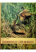 Geheimnisvolles leben am wasser
