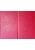 Boże Igrzysko Historia Polski tom 1 i 2