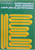 Gospodarka skojarzona cieplno-elektryczna