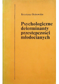 Psychologiczne determinanty przestępczości młodocianych